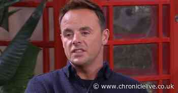 I'm A Celebrity's Ant McPartlin aims dig at star on ITV show as host delivers 'brutal' verdict