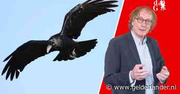 Dieren zijn niet net als mensen. Gelukkig niet, voeg ik er graag aan toe