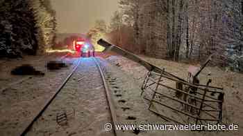 Am Bahnübergang Gündringen: Zug erfasst Pkw-Anhänger – zwei Rinder sterben