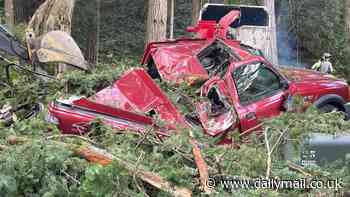 Bomb cyclone leaves mangled cars and decimated homes in its wake after ripping through Washington and killing two