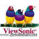 Viewsonic toont matte QD-oledmonitor en Mac-schermen voor beeldbewerking