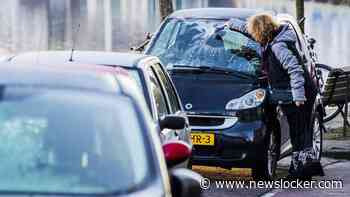 Eerste officiële vorstdag van dit najaar gemeten: -0,3 graden in De Bilt
