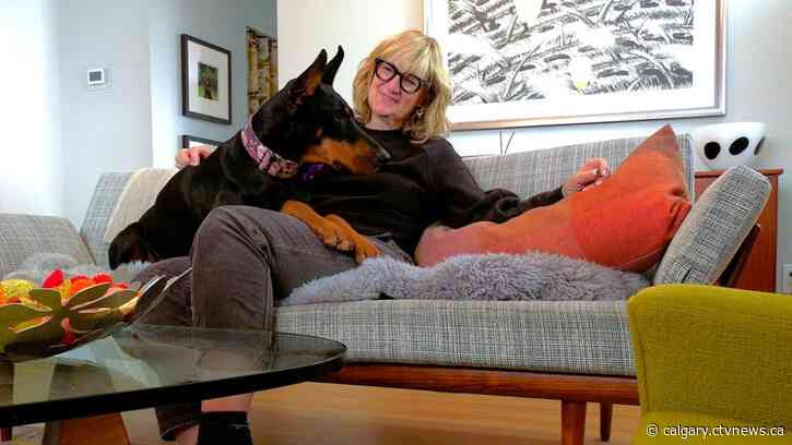 Canadian Animal Blood Bank needs donations from Calgary dogs