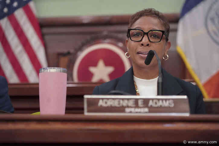 Altered City of Yes Housing plan passes 2 key City Council committees despite some vocal objections