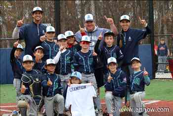 Arlington Arsenal 9-under travel baseball team wins a local fall World Series tournament