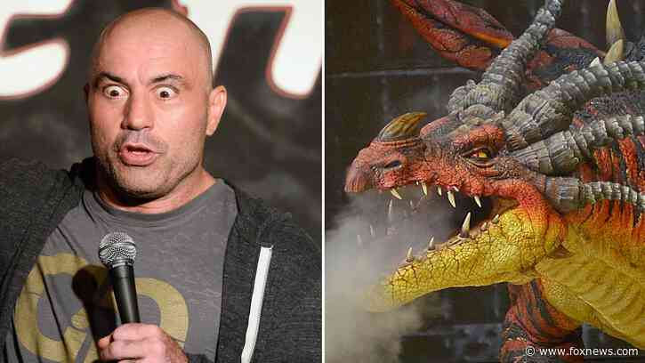 Joe Rogan mocks 'The View' after co-host accused him of believing in dragons
