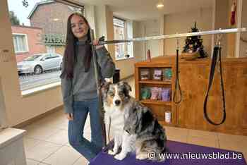 Alexia (26) tovert hoekpand om tot hondentrimsalon: “Soms moet je durven springen in het leven”