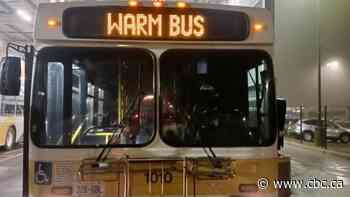 Overnight warming bus service cancelled by Hamilton councillors, as they opt for new drop-in