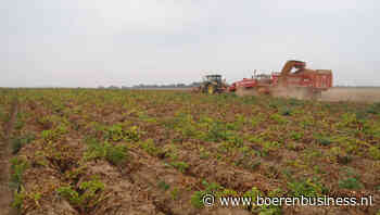 UNPT vreest voor een dalende contractprijs