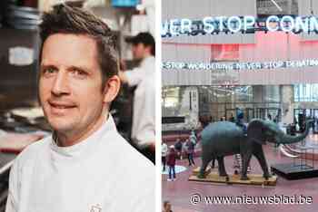 Voor een avond vol spektakel moet je in het Wintercircus zijn: sterrenchefs koken daar samen voor strijd tegen hiv