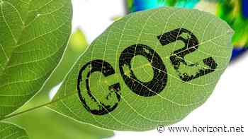 Green Claims: Geplante Zulassung für grüne Werbeaussagen sorgt für Zoff