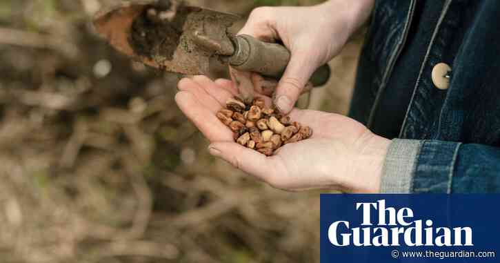 ‘It’s like a secret’: why do the leguminati want to change the way we eat?