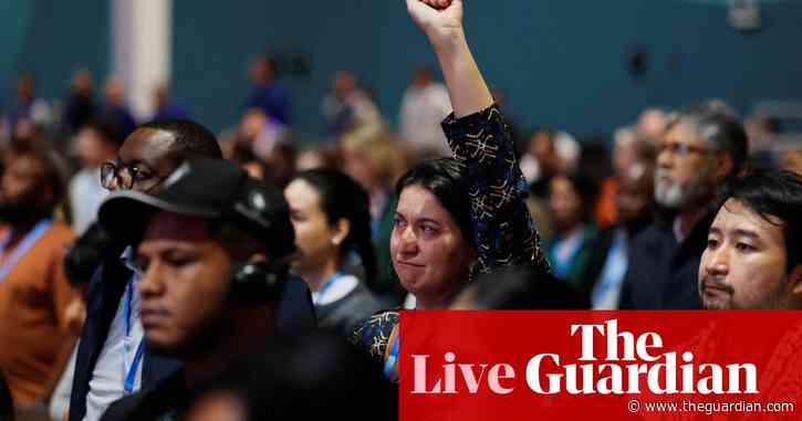 Cop 29 live: UAE steps in amid Saudi blocking of commitment to transition away from fossil fuels