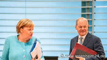 SPD gibt „wüstes Bild“ ab: Ausland urteilt hart über Scholz und Partei – „Kröte eines Kandidaten“