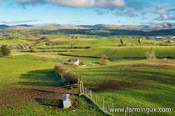 Three-quarters of farms impacted by new tax plans, NFU finds