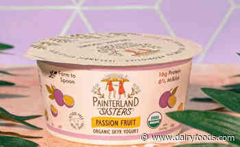 Painterland Sisters debuts Passion Fruit flavor