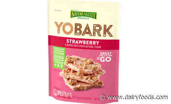 Dairy Management Inc. teams with General Mills for new yogurt snack