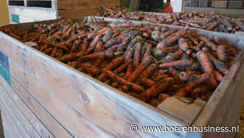 Tweespalt groeit binnen de peenmarkt