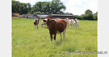 Biologische boeren krijgen boete opgelegd