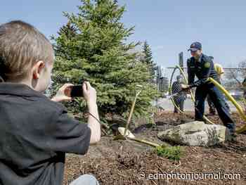 Growing Things: How to water your tree well before winter