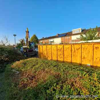Groot groenonderhoud uitgevoerd in Kraaihoek