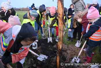 Katerbos krijgt vorm, kinderen planten eerste bomen: “Een geschenk voor de gemeente”