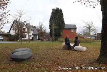 Maasmechelen: Maasmechelen opent eerste Pocketpark met Maaskeien