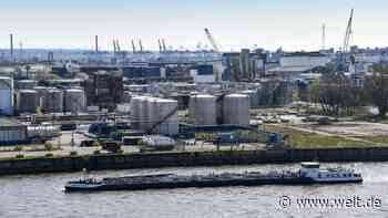 „Kein einziges Unternehmen will nach Deutschland zurück“