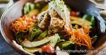 Vegan manufacturer Allplants seeks rescue deal