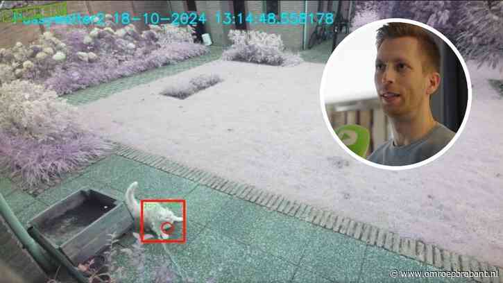 Bas bedacht PussyWetter voor in de tuin: 'Om van de katten af te komen'