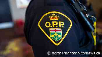 Senior killed in dog attack in northern Ont.