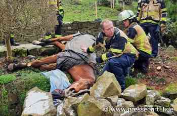 FW-E: Tier in Notlage - Feuerwehr hilft gestürztem Pferd wieder auf die Beine