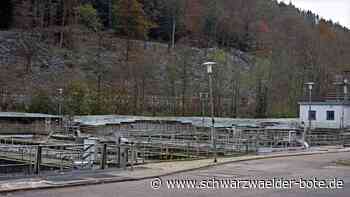 Drehen an der Abgabenschraube: Abwassergebühren in Bad Liebenzell steigen drastisch