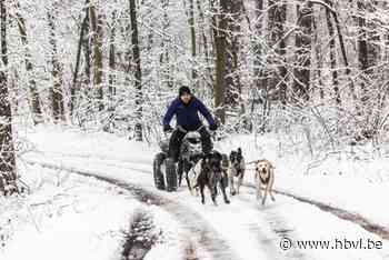 Knuffelen met sledehonden of met VR-bril naar het noorden tijdens Nordic Experience Day in Hasselt