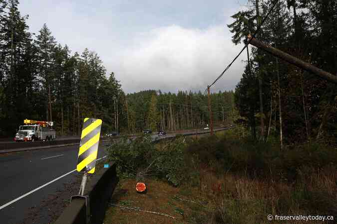 New B.C. storm brings 100 km/h winds with some Vancouver Island homes still in dark