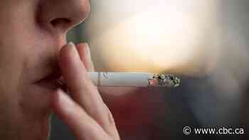 Albertans spending millions on illegal cigarettes, diverting tax revenue: report