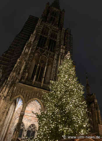 Vorfreude auf Ulmer Weihnachtsmarkt - Einzelhändler setzen auf die Magie der Weihnachtszeit