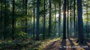 This AI image generator that went viral for its realistic images gets a major upgrade