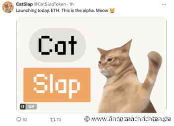 XRP & Cardano explodieren zweistellig: Meme-Coin CatSlap pumpt 1500 % an Tag 1