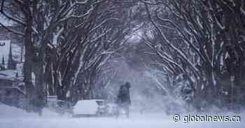 Saskatchewan prepares for a weekend of heavy snow