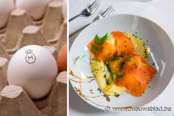 Hoe ‘luxe-ei’ zijn weg vindt naar Belgische sterrenkeuken: “Dankzij bloemen in de kippenvoeding kleurt de dooier prachtig oranje”