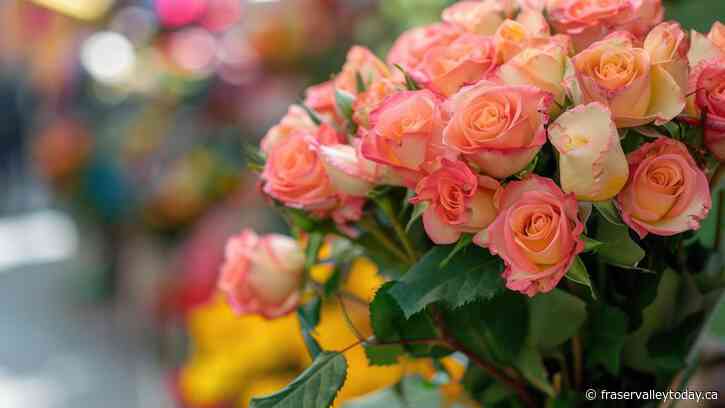 Abbotsford florist recovers after facing backlash in case of mistaken identity linked to U.S. Election