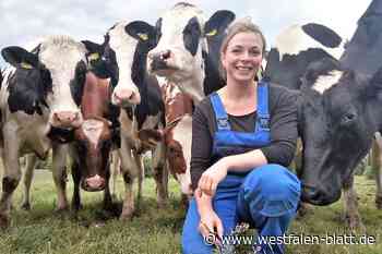 Wenn eine Molkerei pleite geht, leiden die Milchbauern