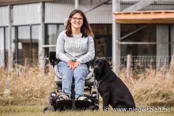 Kom pannenkoeken en hotdogs eten om de hulphonden te steunen: “De honden zijn gratis, maar kosten ons wel duizenden euro’s”