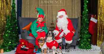 Meet 'Father Bark-mas' this December in Padiham and Darwen