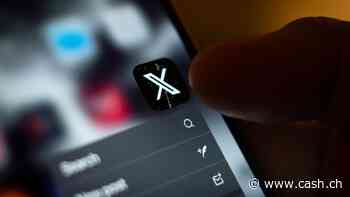 EU-Abgeordnete fordern Prüfung von X - Manipulationen für Musk