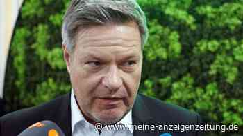 Kohleausstieg bis 2030? Habeck plant Unterstützung für Gaskraftwerke