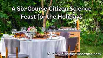 A Six-Course Citizen Science Feast for the Holidays!