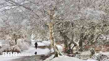 In pictures: Winter wonderland scenes across the south