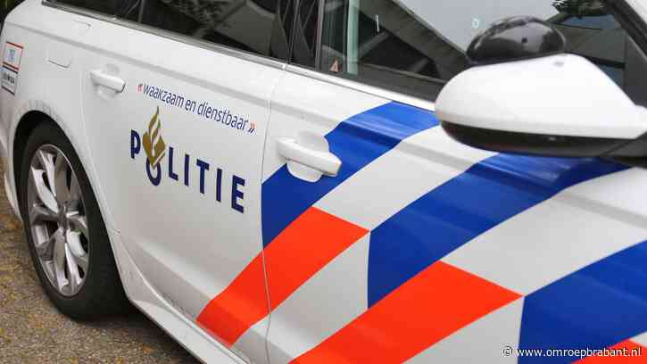 Vrouw valt agenten aan en probeert weg te rijden met hun politieauto